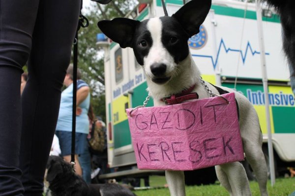 10540905_960853973940335_5488263349891408408_n