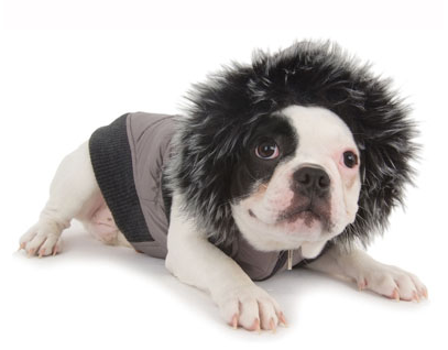 file_1186_column_Screen_shot_2011-11-09_at_8.46.19_AM