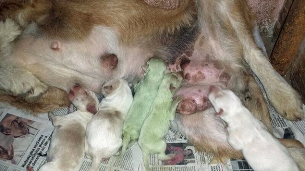 enhanced-29639-1402649783-3