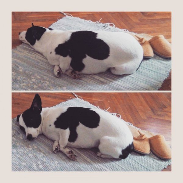 1044522_10207182884264871_8925409817305157324_n